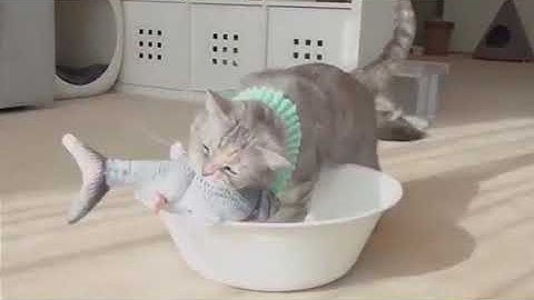 Realistic Electric Cat USB Charger Chew Bite Toy Fish