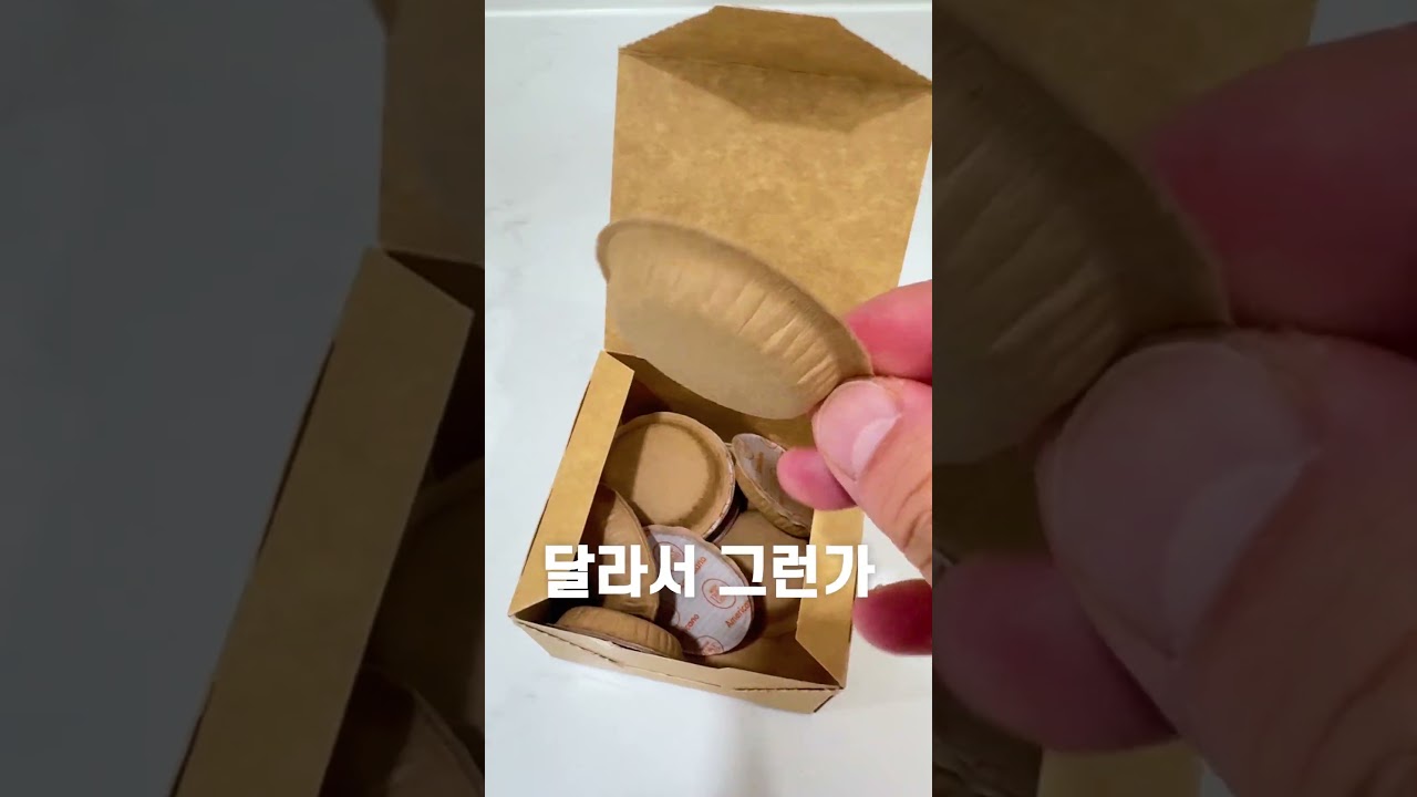 네스카페 돌체구스토 네오