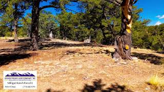48 Acre Mountain Property for sale in Milligan Ranch