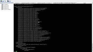 WILDFLY-11 - JVM Parameters configuration in standalone/domain mode