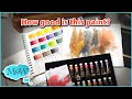 Is this possible pro grade watercolors at a student grade price paul rubens review