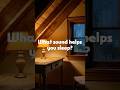 What sound helps you sleep? 🌙 Cozy Attic Rain Sounds | Deep Sleep No Music #shorts