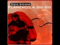 Steve Stevens "Flamenco a Go Go" (1999) Full Album