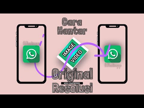 Video: Bagaimanakah anda menghantar gambar yang tidak dimampatkan di WhatsApp?