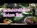 Cara membersihkan Kolam ikan Koi Terbaru dan simpel.