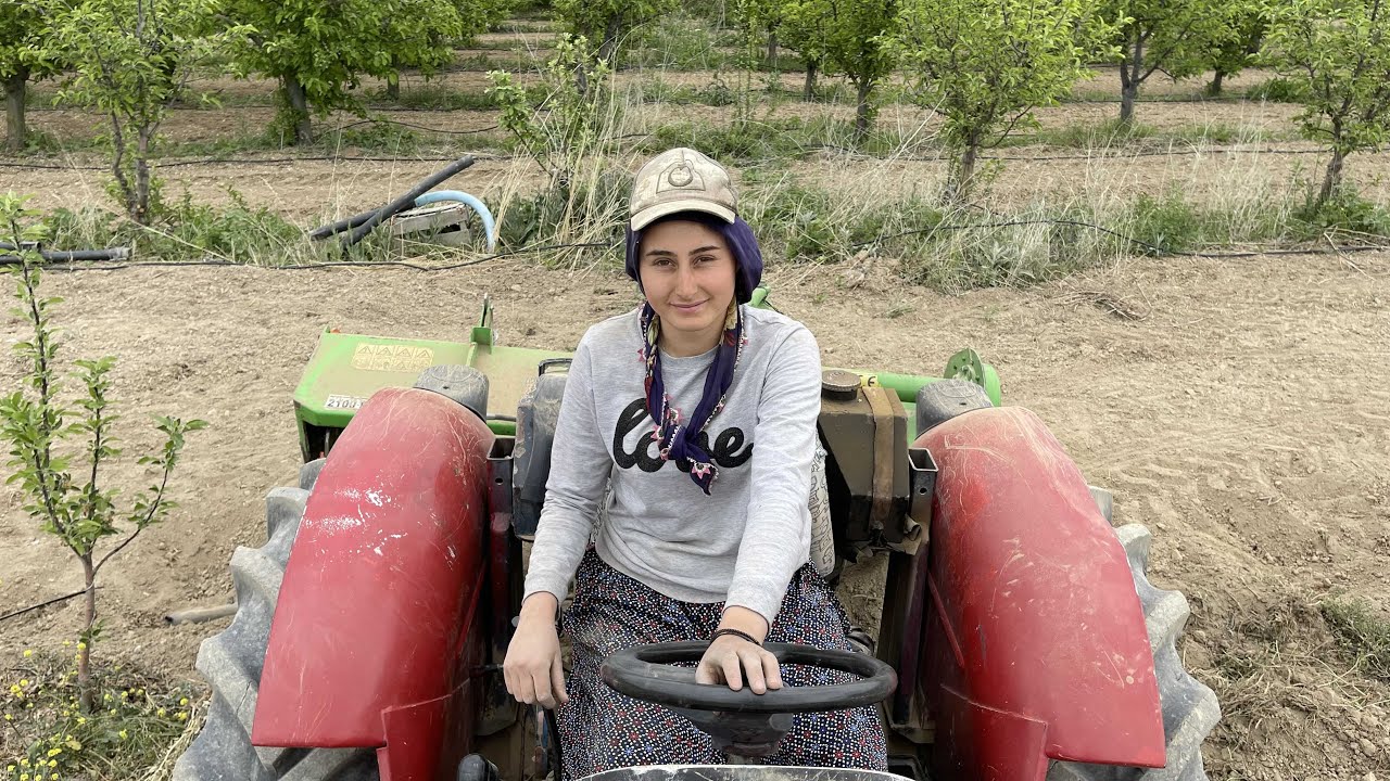 KAYISI BAHÇESİNE ROTOVATÖR ÇEKİYORUZ