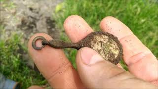 Minelab Equinox 800 Metal Detecting Iowa