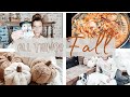 COZY ALL THINGS FALL PART 2!!! | POTTERY BARN DUPE DIY, COZY 1 SKILLET DINNER, HOME DECOR HAUL