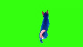 Avatar Dog Meme Green Screen