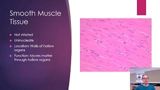 Histology | Bone and Muscle