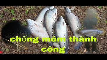 Câu cá thác lác cườm tập 2#@tuansongray.