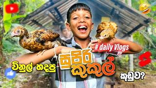 විනුල් තනියම හදපු කුකුල් කූඩුව! 😱🐔 | Chicken Coop Building Sri Lankan Village  | Rashi Boy Village