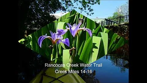 Kayak Rentals, NJ's Exemplary and Historic Rancocas Creek Water Trail.
