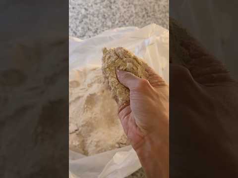 خبز ساوردو ببر حايلي