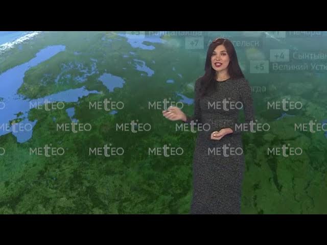 Араб секс фильмдері