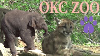 Oklahoma City Zoo Tour & Review with The Legend