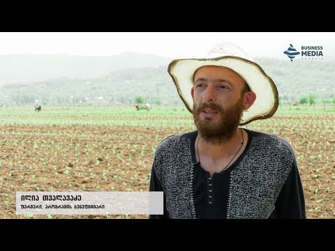 აგროწარმოების ხელშეყობის პროგრამის ბენეფიციარი ილია თვალავაძე თავისი მეურნეობის შესახებ გვიყვება