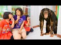 หนูยิ้มหนูแย้ม สัตว์ออกมาจากทีวี Funny Stories for Children