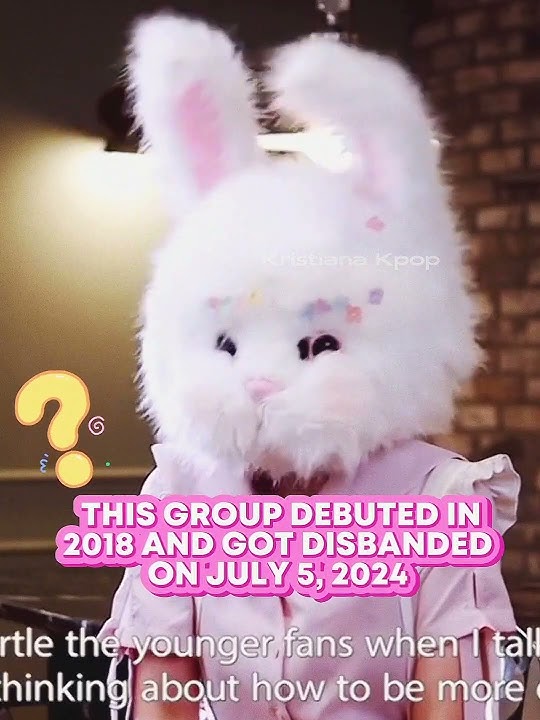 This Member Had Always Kept Her Identity Hidden! 😱 #pinkfantasy #mysterious #kpop #fyp #bts