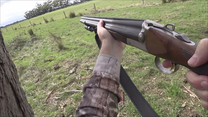 Driven Fox Hunt with Chiappa Triple Crown 20G and ...