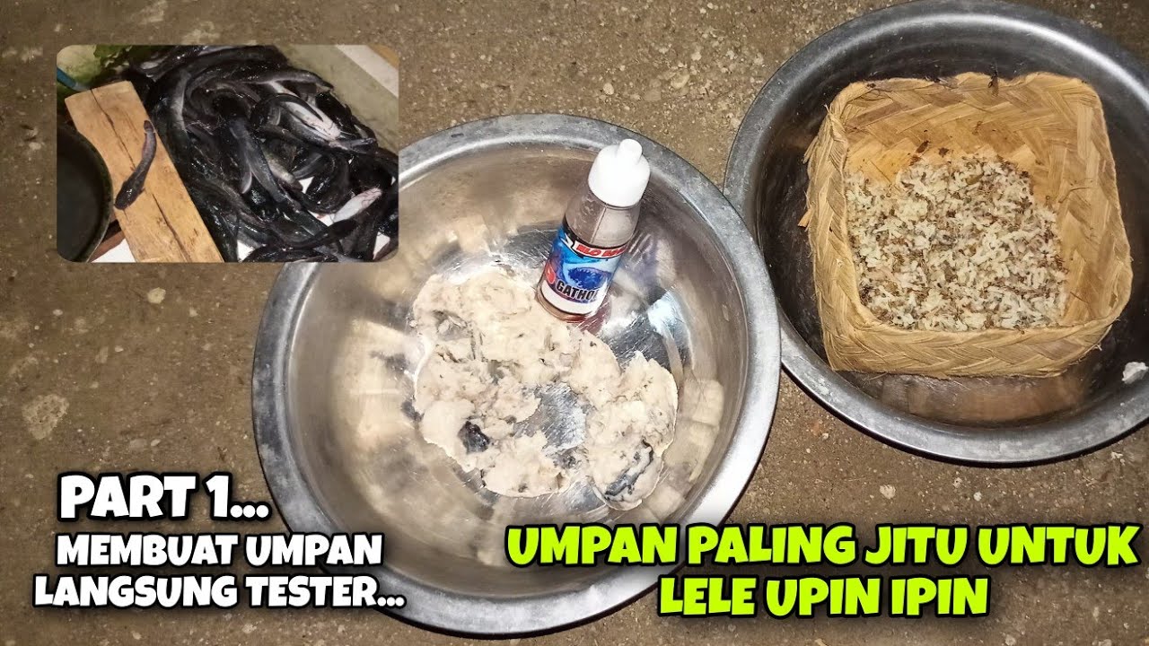 UMPAN LELE ANTI BONCOS!!!LOMBA IKAN LELE DI KP SOR PETE...NGRUKEM!!!