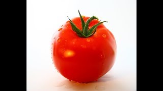 Triumph of the Tomato – Documentary HD