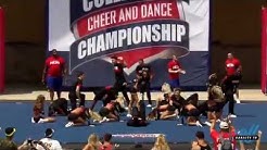 Navarro College [Coed Junior College Finals] 2019 NCA & NDA Collegiate Cheer and Dance Championship