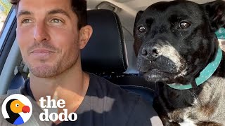 Rescue Pittie Screams Like A Seal When It's Time For The Beach | The Dodo