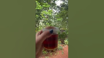 Random frames from camera roll 🌸💐. #music #song #love #spotify #lyrics #zaroor #kerala #kochi