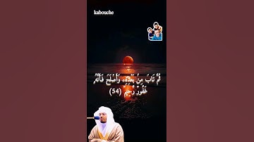 الآية (54) من سورة الأنعام، بصوت القارئ الشيخ ياسر الدوسري.