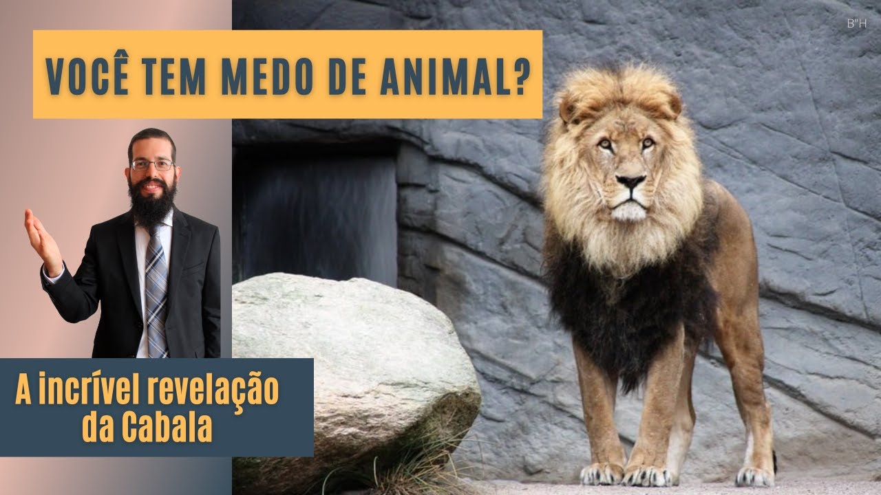 Você tem medo de leão? | A incrível revelação da Cabala