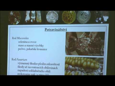 Video: Je plíseň cladosporium toxická?