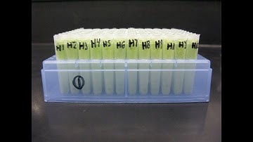 96 WELL CTAB DNA EXTRACTION