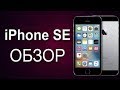 Download iPhone SE iPhone SE
