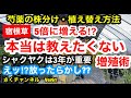 【芍薬の株分け】3年目の株は株分けしないと翌年の花のボリュームが減ります…株も増えるので超効率的にガーデニングを楽しみましょう!!Ver61【芍薬】【シャクヤク】【株分け】