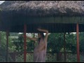Bristi Anashristi | Prateek | Bengali Movie Song | Lata Mangeshkar Mp3 Song
