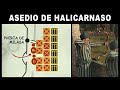 El asedio de halicarnaso 334 ac  documental