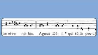 Agnus Dei VIII (De Angelis)