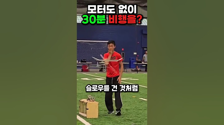 고인물이 날린 비행기의 정체
