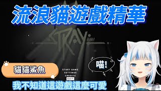 【Gawr Gura 鯊鯊】Stray流浪貓遊戲精華可愛Gura貓鯊中文字幕 