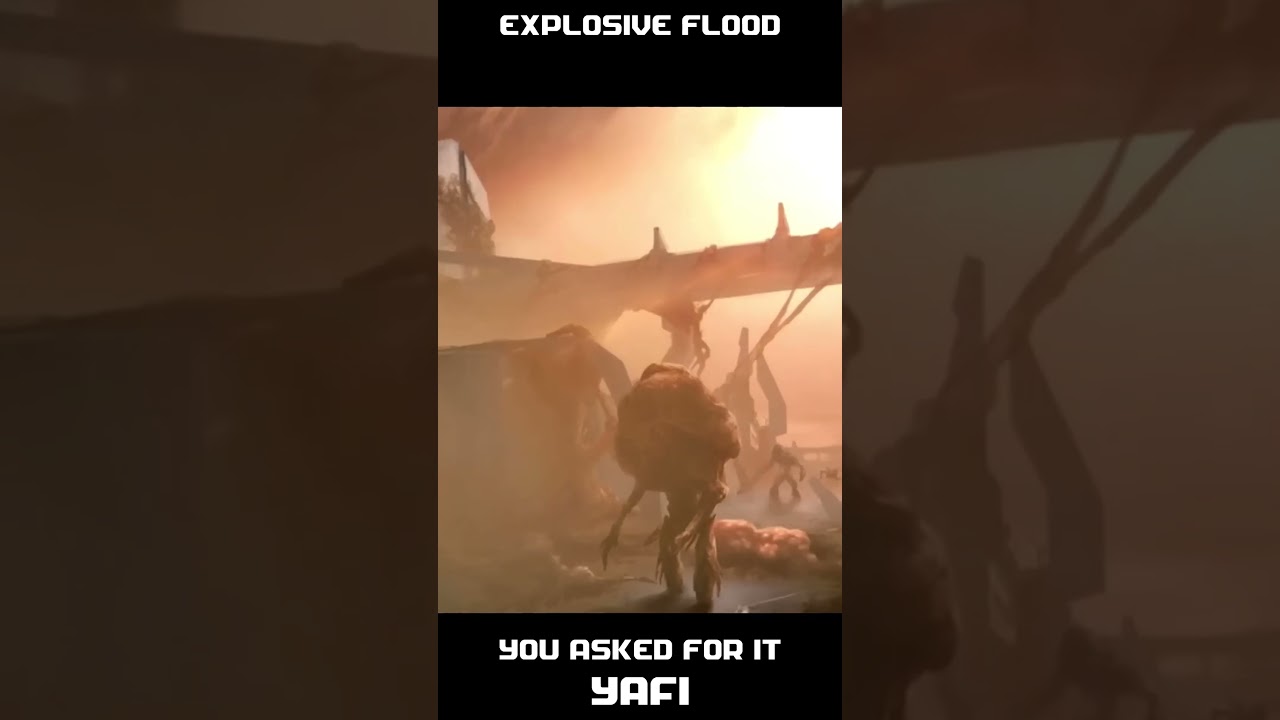 Формы переносчиков потопа 