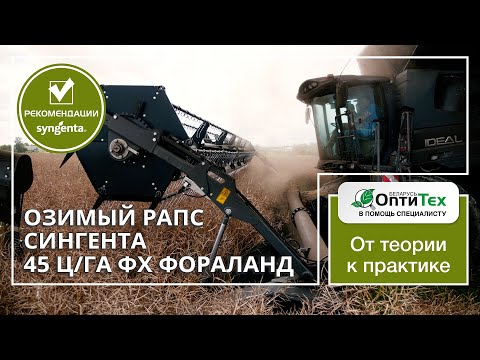 Как получить хороший