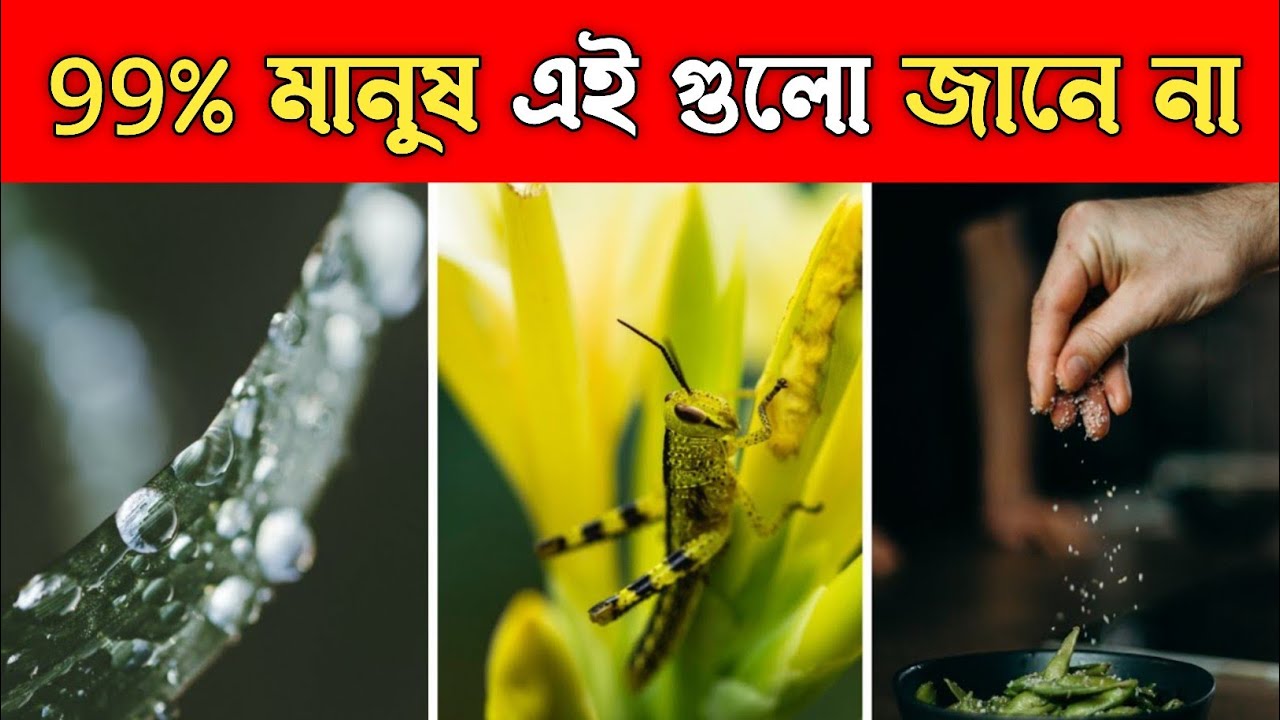 10 টি আশ্চর্যজনক তথ্য 😯| 10 Most Interesting Facts in Bengali | Amazing Facts in Bangla 