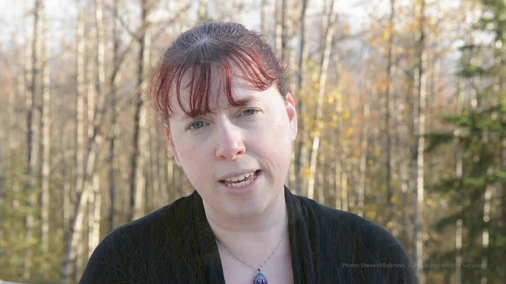Jennifer Lento on the difficulty in getting a circ...