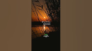 واذكر اسم ربك بكرة وأصيلا _سورة الإنسان_تلاوة عذبة بصوت الشيخ عبدالباسط عبدالصمد رحمه الله_#quran
