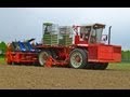 Ferrari Futura Twin 12 Row Automatic planter - Knolselderij, Planting Celeriac - Loonbedrijf Lokers