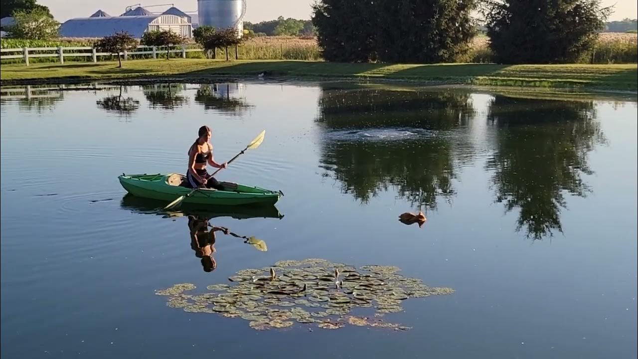 Can chickens swim? Chicken water rescue. YouTube