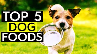 ✅ TOP 5: Best Dog Food 2019