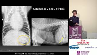 Тиунчик Е. М. - Рентгенология: оценка паренхимы легких