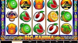 Big Kahuna (Microgaming) - VoltCasino.com screenshot 5